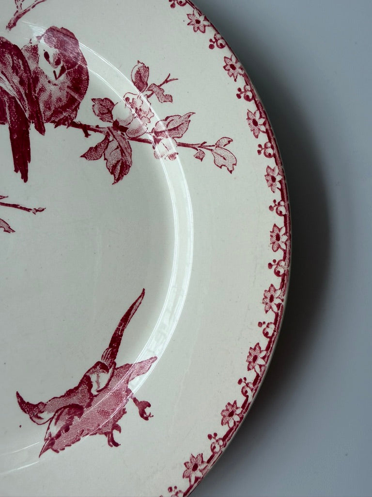 Sarreguemines & Digoin Favori プレートB
