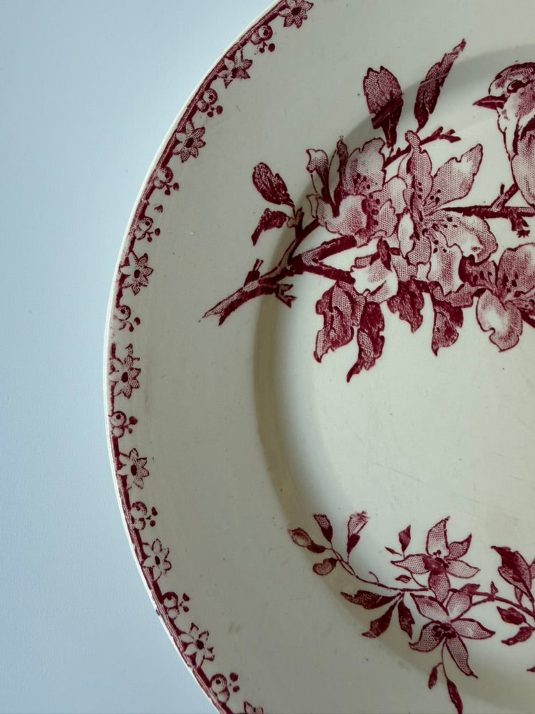 Sarreguemines & Digoin Favori プレートA
