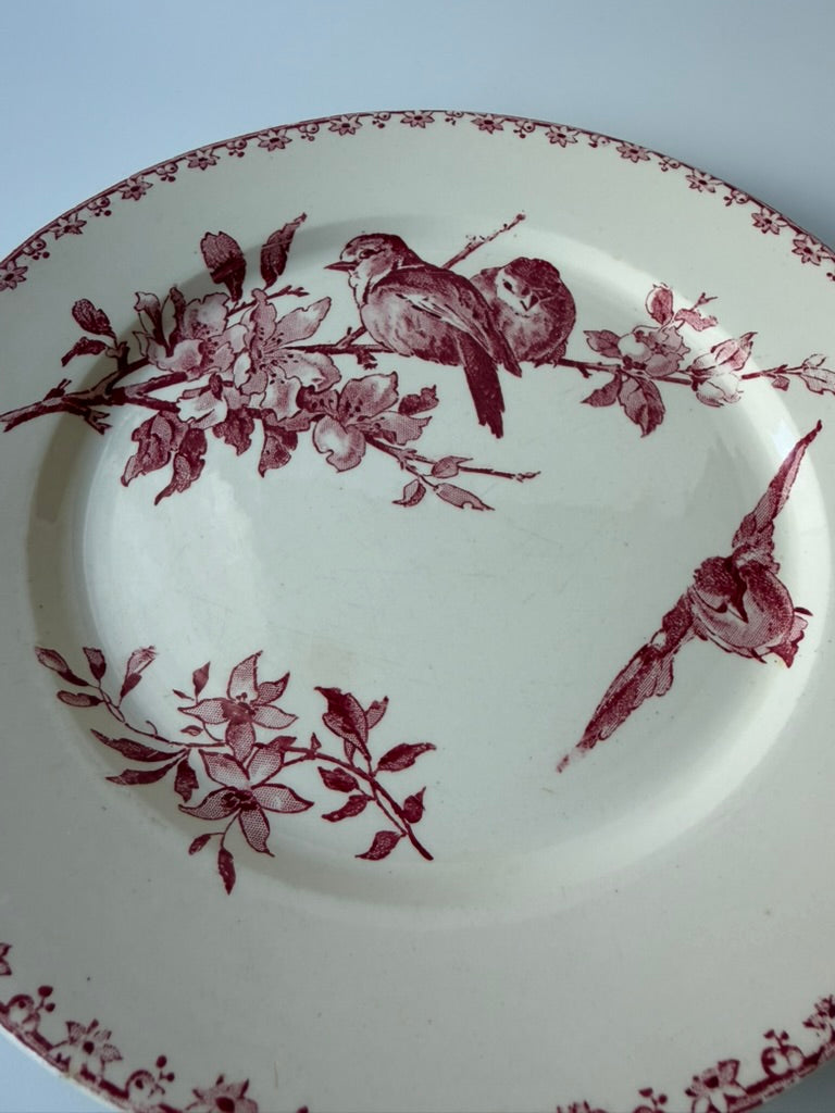 Sarreguemines & Digoin Favori プレートA
