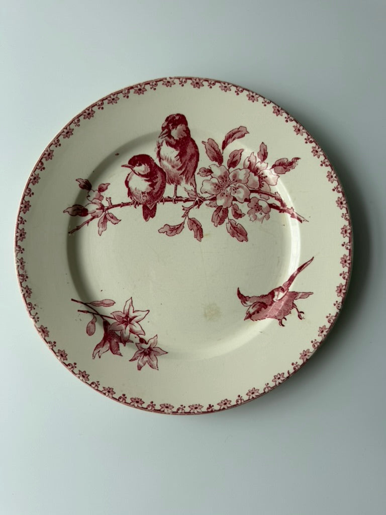 Sarreguemines & Digoin Favori プレートC